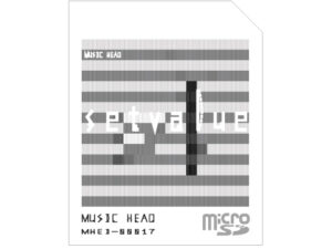 MUSIC HEAD 電子音楽音源集 | setvalue v1.0 - 生データを取り扱ったmicroSD作品。CDやレコードではなく直接的で高音質なWAVやmp3といった生のサウンドファイルに拘った製品です。サウンド的にエッジ感のあるシャープな音してます。電子音楽, Experimental, Acoustic 14track 3,500JPY (税込／送料無料)